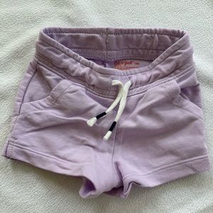 Girls 12m Purple Shorts